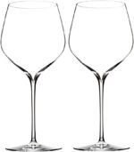 Elegant Wine Glass Pair